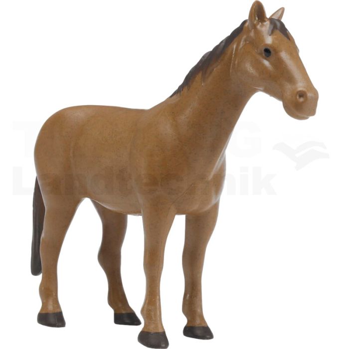 Pferd braun Pferd braun