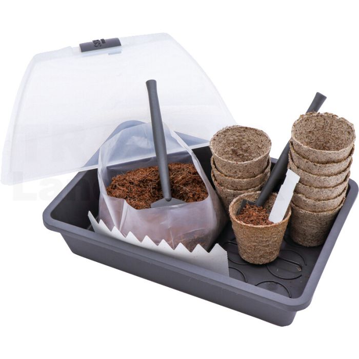 Anzucht Starter-KIT