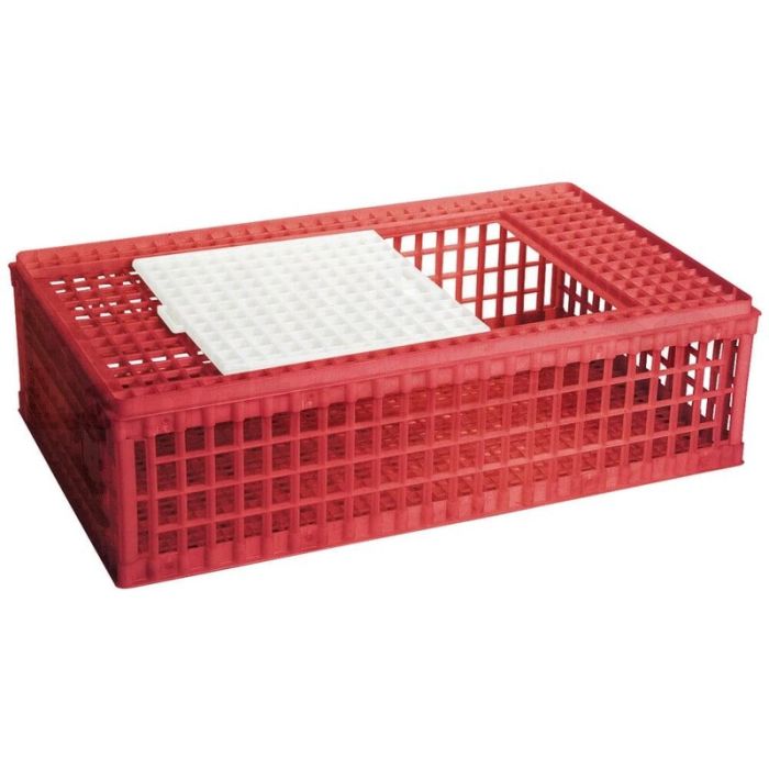Geflügeltransportbox