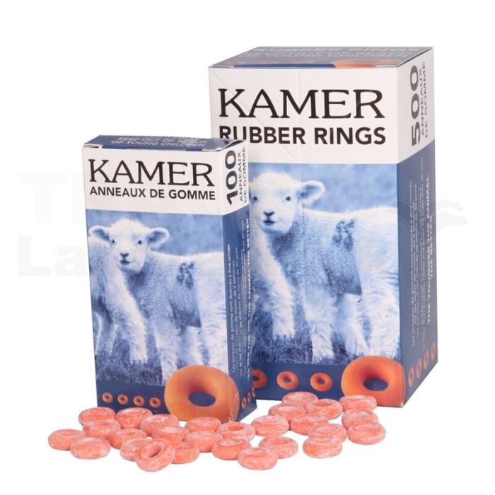 VPE100 Gummiringe