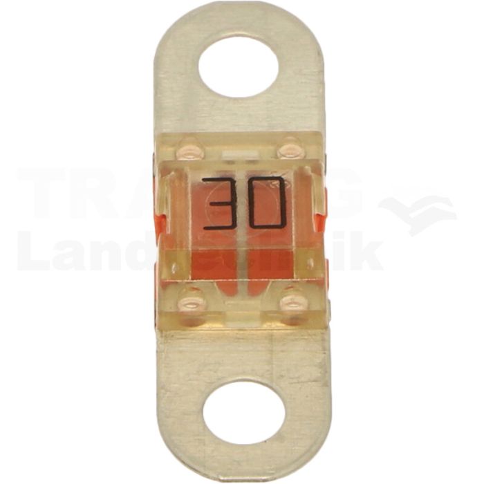 Sicherung 30A
