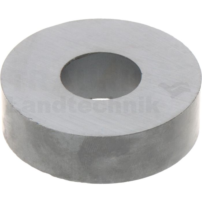 Magnet
