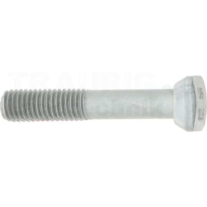 Hammerkopfschrauben
