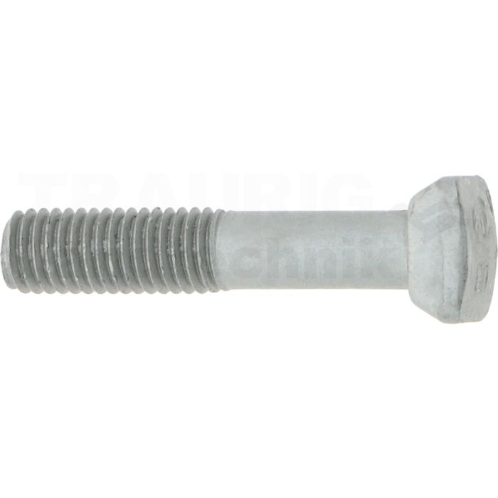 Hammerkopfschrauben