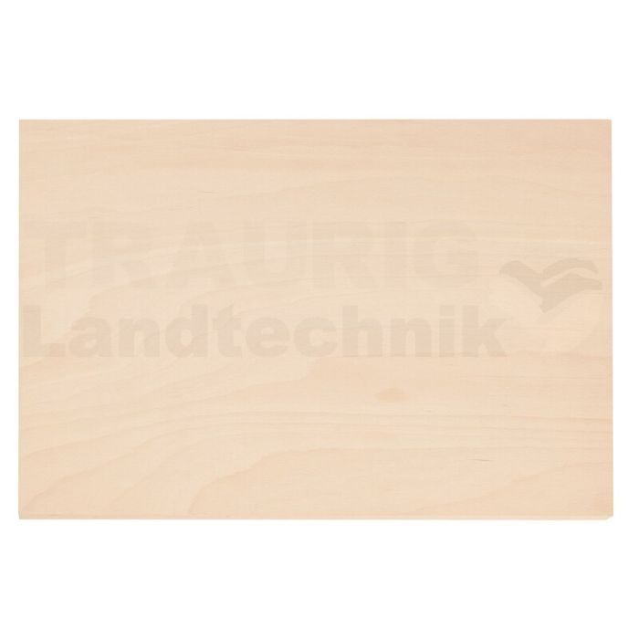 Holz-Arbeitsplatte für WorkMo B2