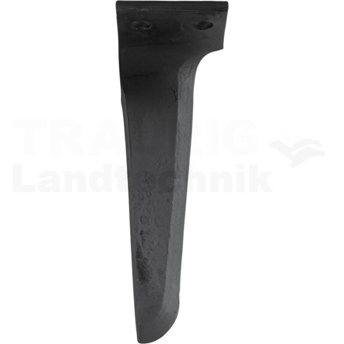 Kreiseleggenzinken Celli Kreiseleggenzinken Celli