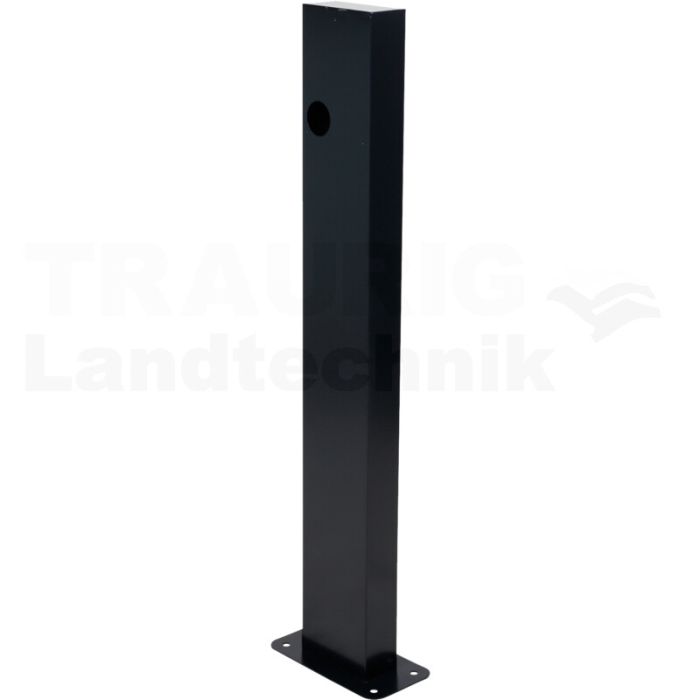 efuturo Standsäule für eine Wallbox