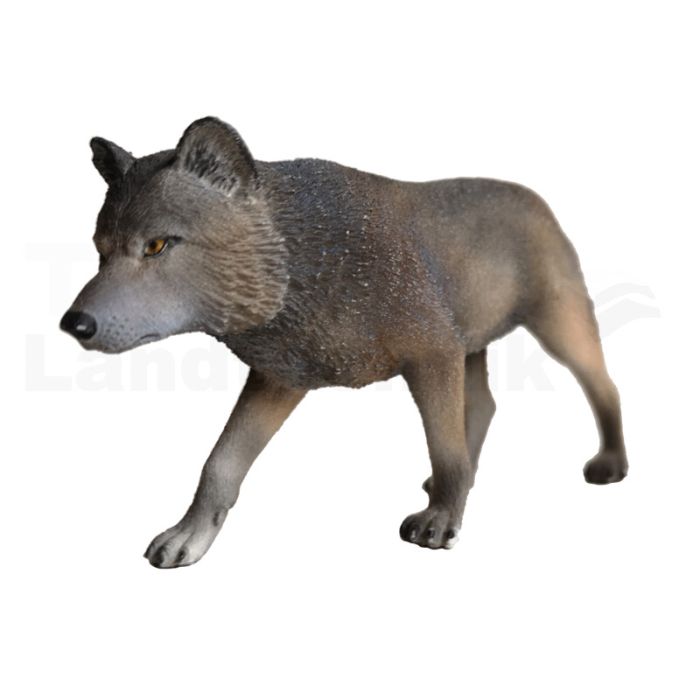 Wolf Wolf