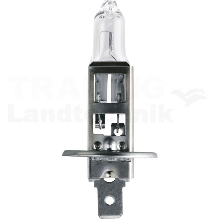 Halogenlampe H1