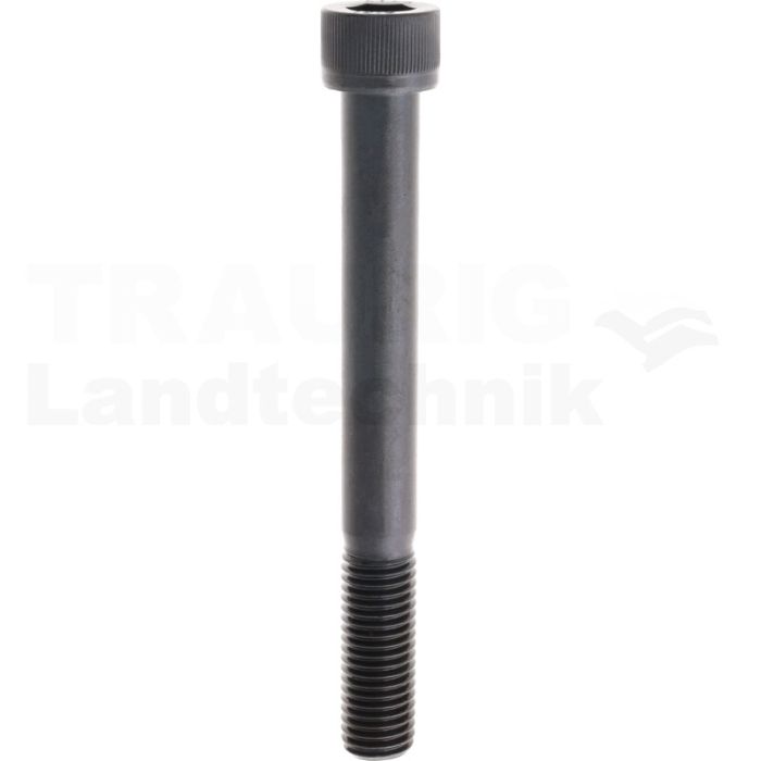 Zylinderschraube M18x160 DIN 912
