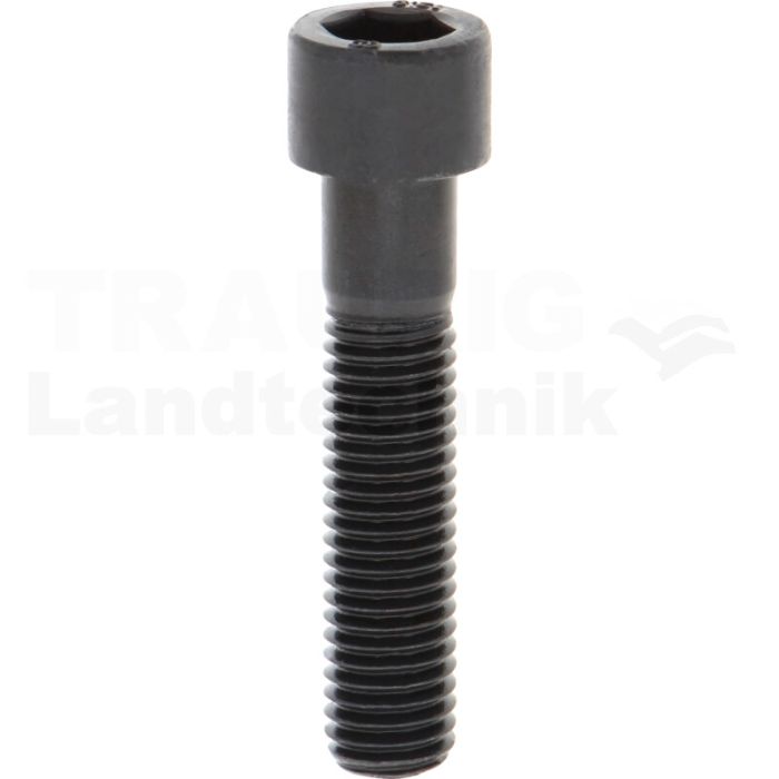 Zylinderschraube M12x55 DIN 912