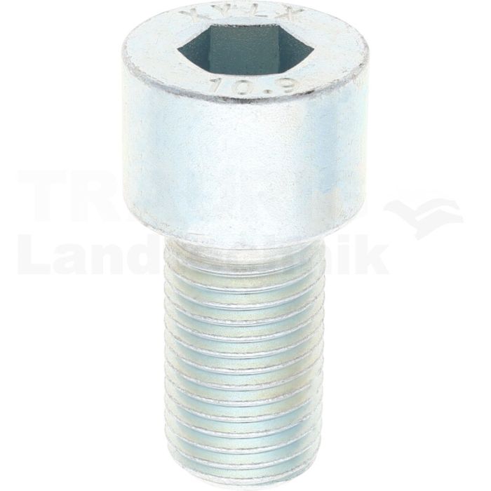 Zylinderschraube M27x50 DIN 912