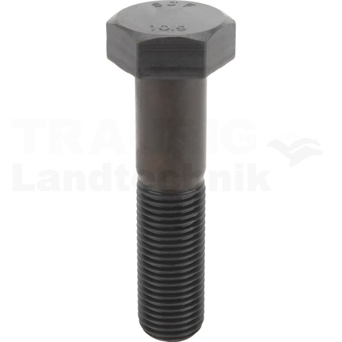 Sechskantschraube M42x180 DIN 931 Sechskantschraube M42x180 DIN 931