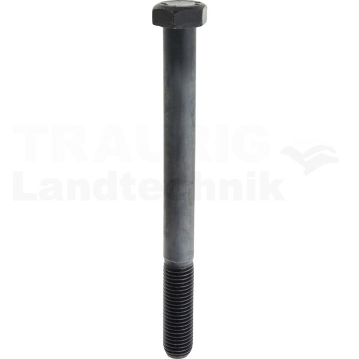 Sechskantschraube M24x260 DIN 931
