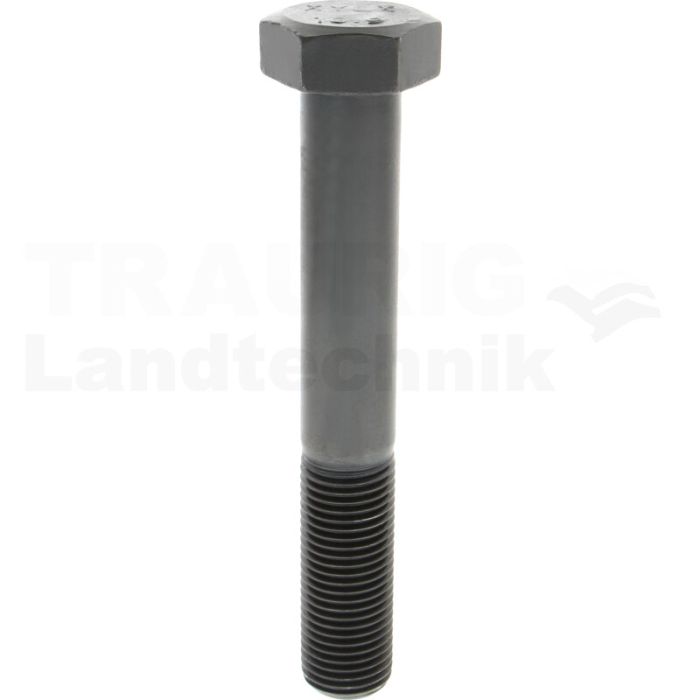 Sechskantschraube M39x260 DIN 931