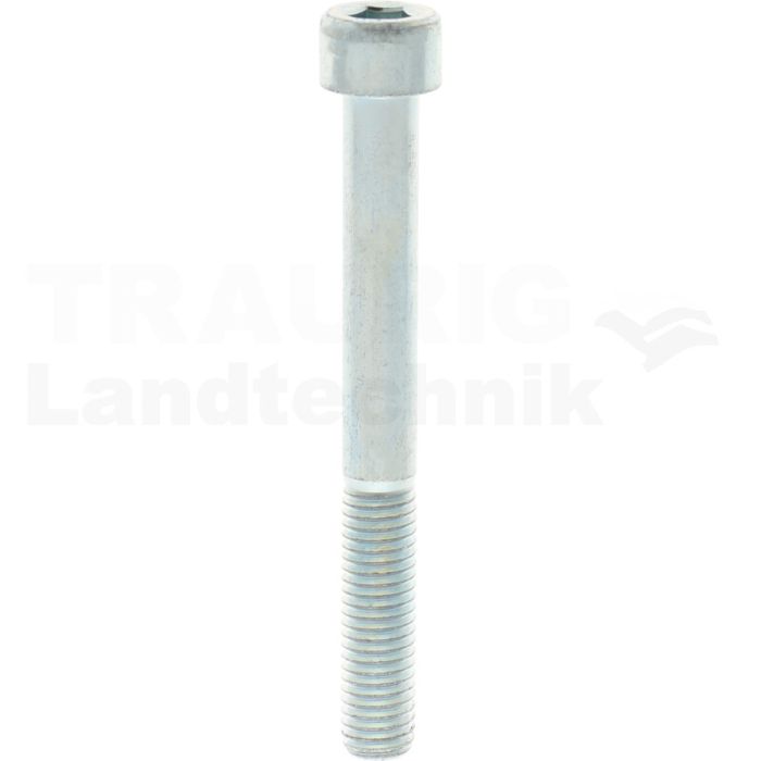 Zylinderschraube M10x90 DIN 912