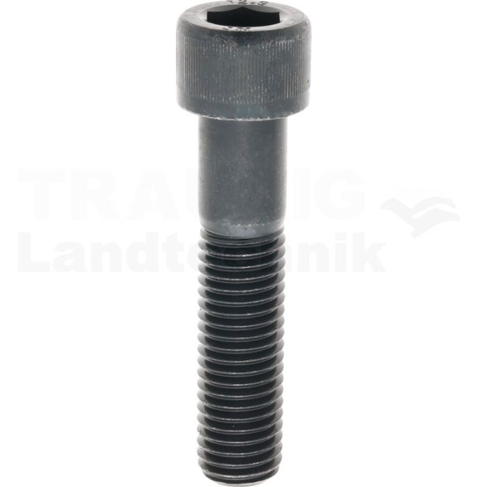 Zylinderschraube M18x80 DIN 912