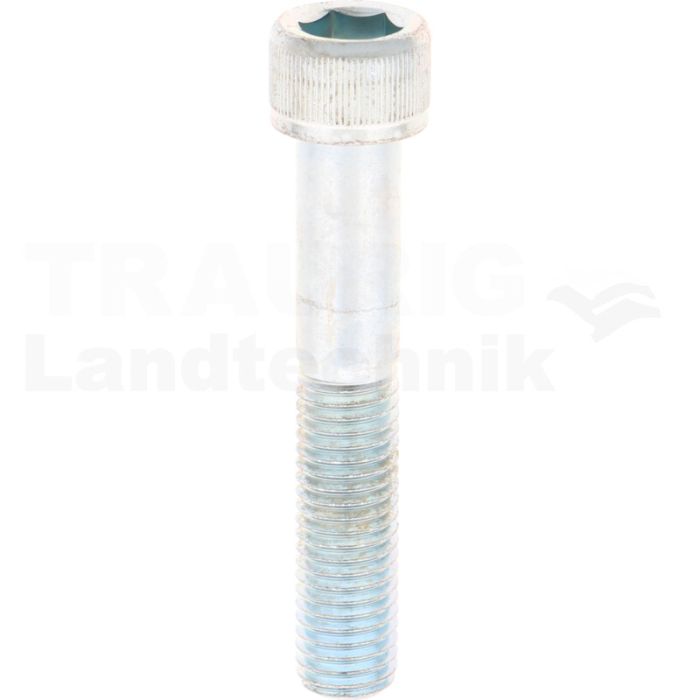 Zylinderschraube M14x80 DIN 912