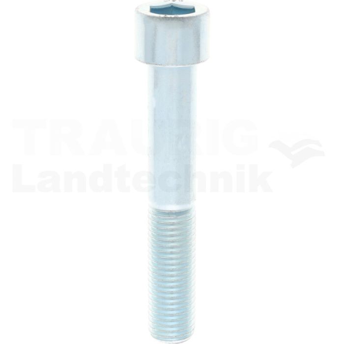 Zylinderschraube M20x120 DIN 912