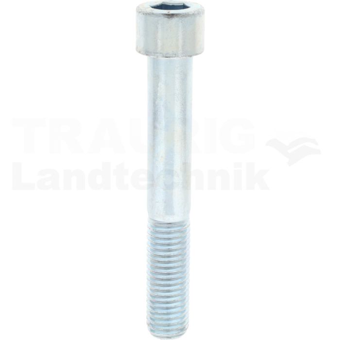 Zylinderschraube M18x120 DIN 912 Zylinderschraube M18x120 DIN 912