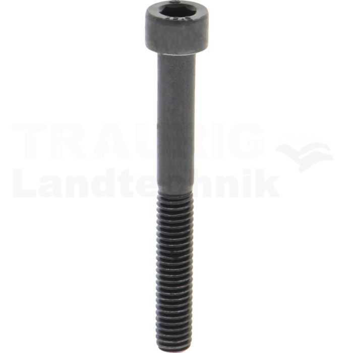 Zylinderschraube M6x50 DIN 912