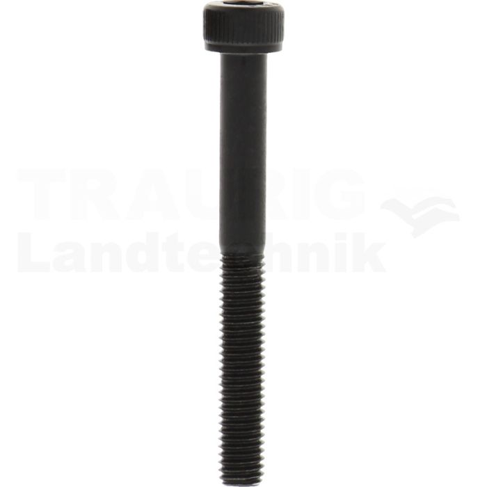 Zylinderschraube M5x45 DIN 912
