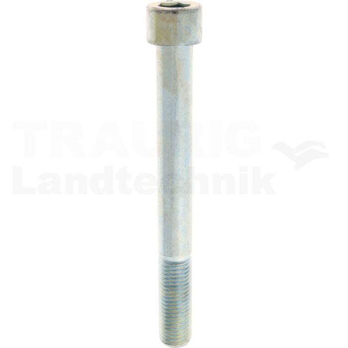 Zylinderschraube M24x220 DIN 912