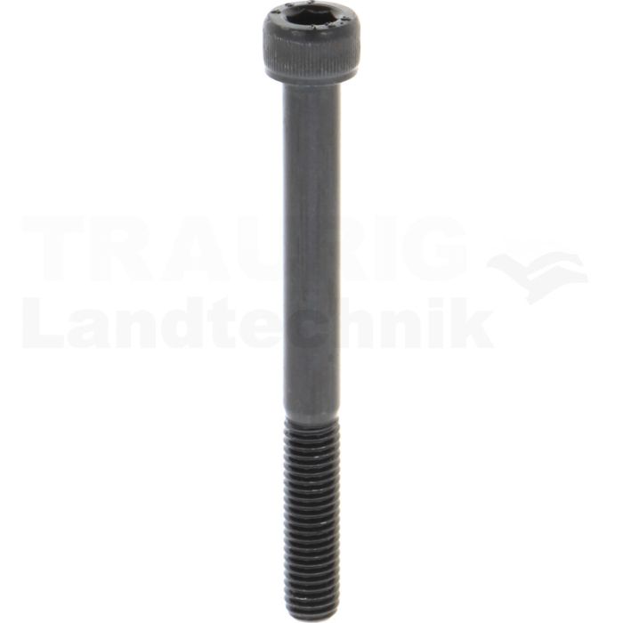 Zylinderschraube M8x80 DIN 912