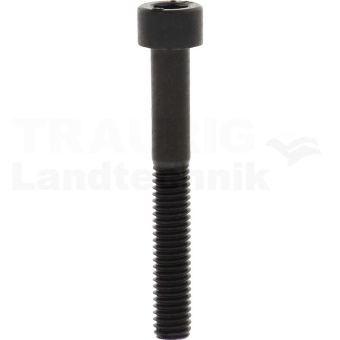 Zylinderschraube M6x45 DIN 912