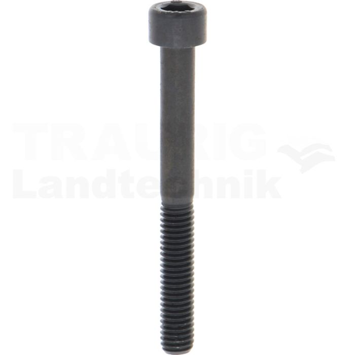 Zylinderschraube M6x55 DIN 912