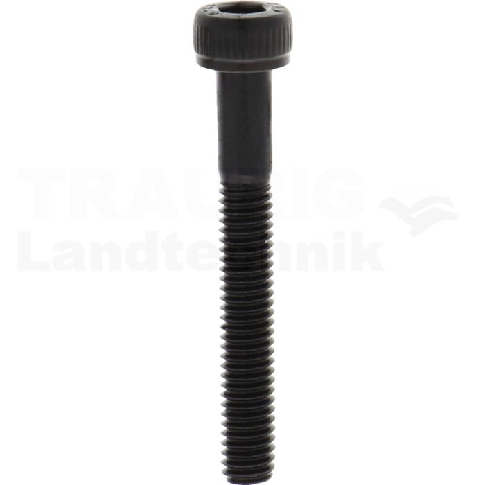 Zylinderschraube M4x30 DIN 912