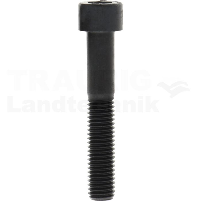 Zylinderschraube M10x60 DIN 912