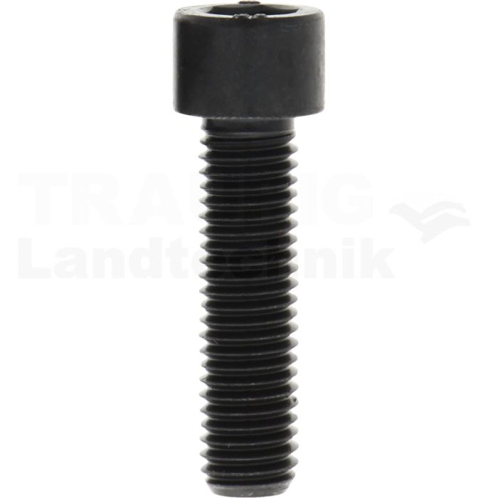 Zylinderschraube M12x45 DIN 912
