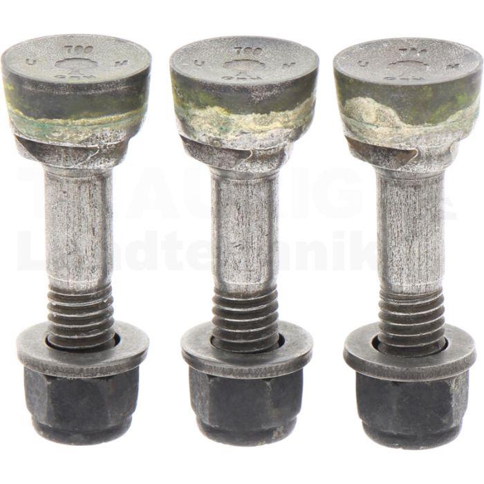 Schleifzahn-Kit (3er Pack) Schleifzahn-Kit (3er Pack)
