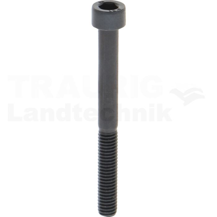 Zylinderschraube M6x60 DIN 912