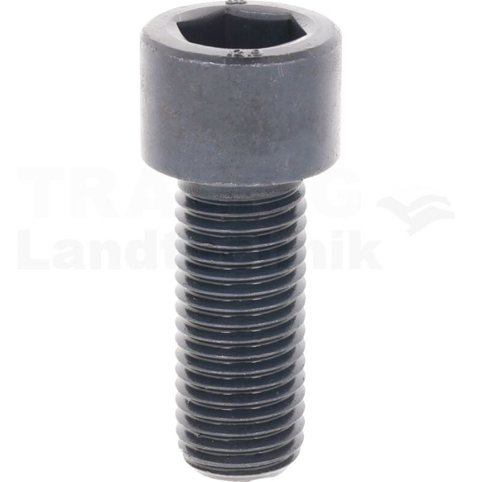 Zylinderschraube M20x50 DIN 912