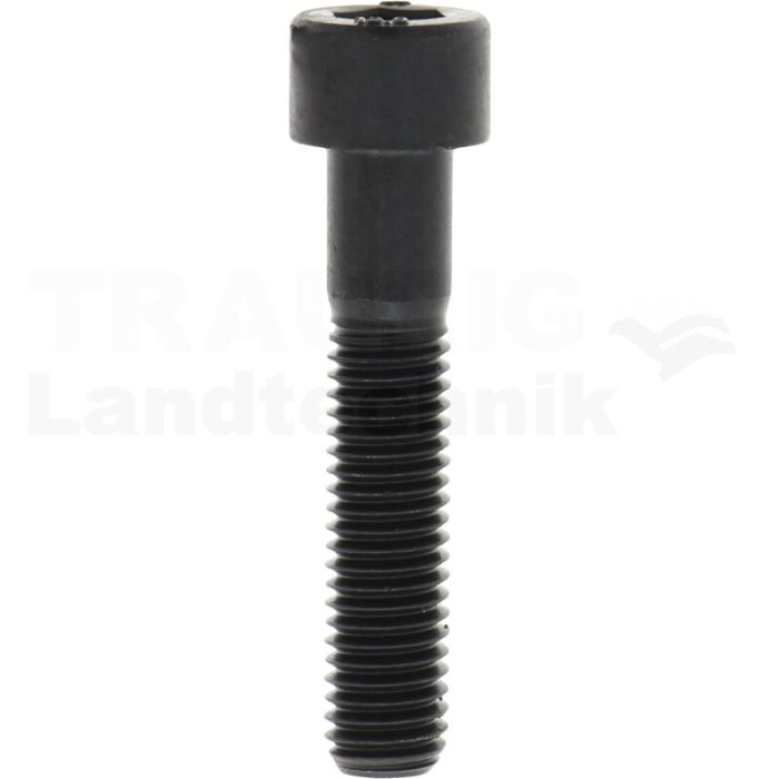Zylinderschraube M10x50 DIN 912