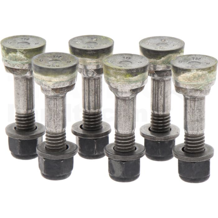 Schleifzahn-Kit (6er Pack)