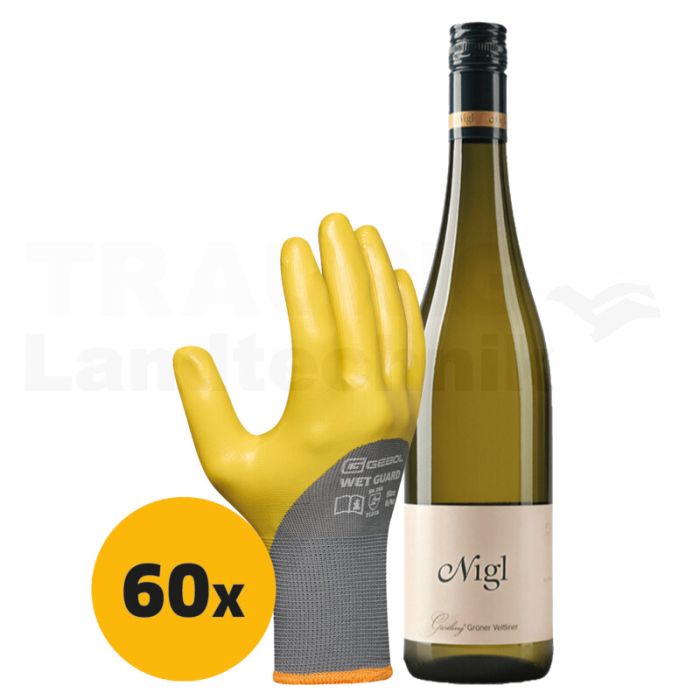 VPE60 Handschuhpaket "WetGuard"