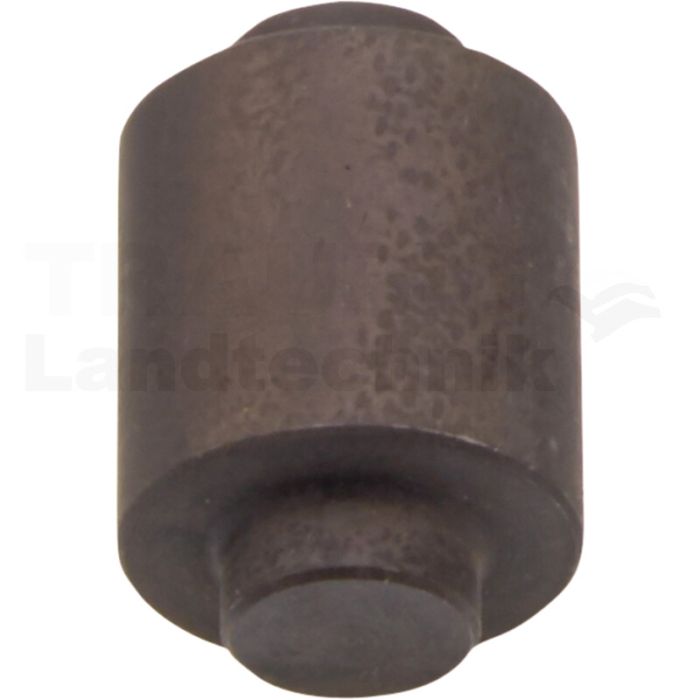 Nockenrolle für SK RS9042