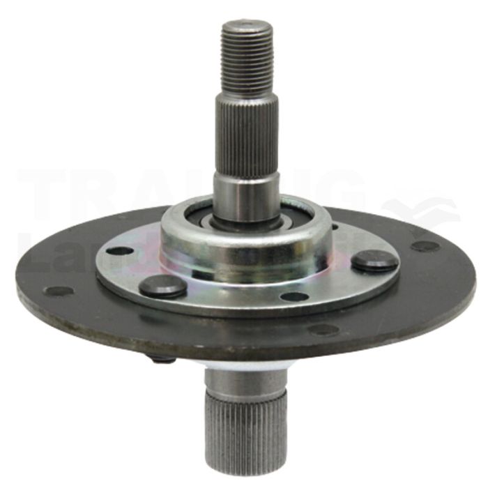 Messerspindel