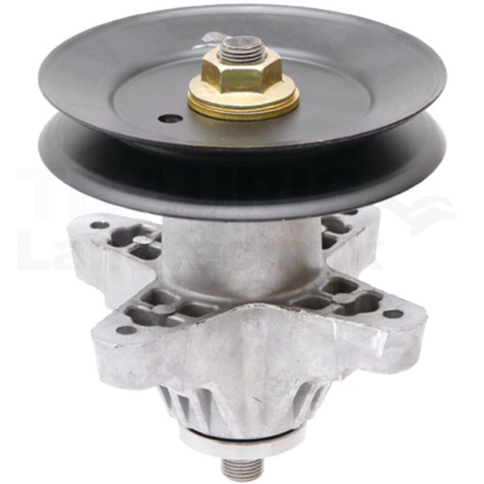 Messerspindel Messerspindel