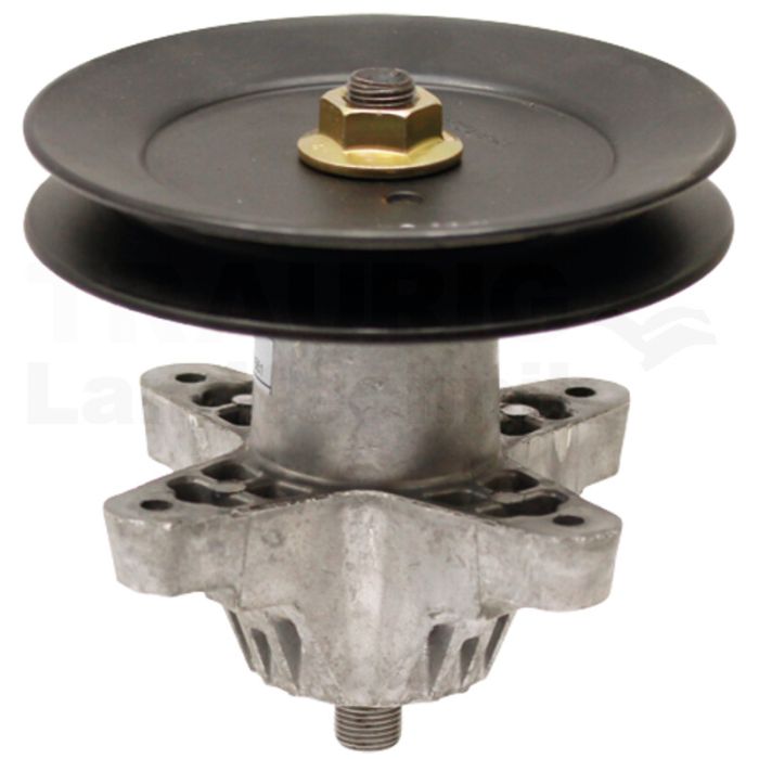 Messerspindel Messerspindel