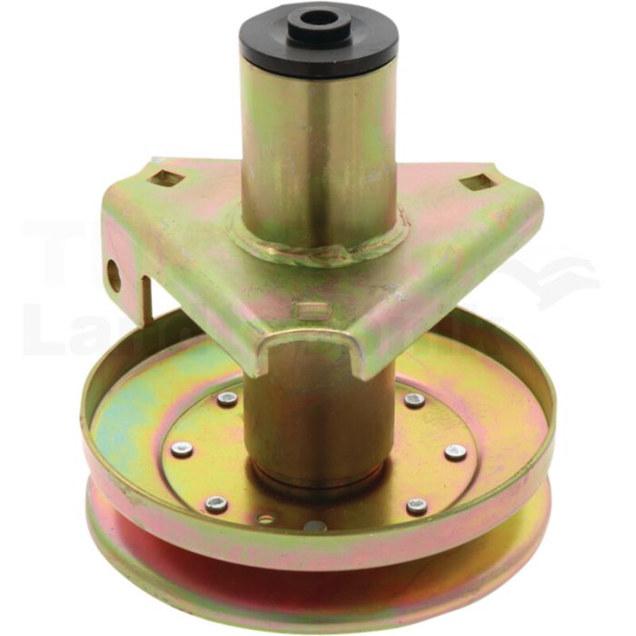 Messerspindel Messerspindel