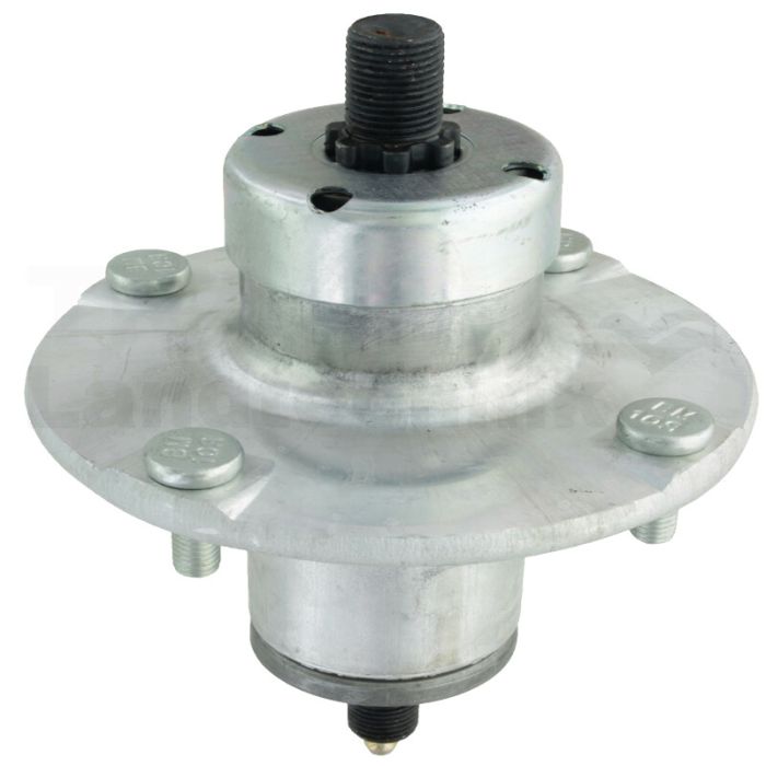 Messerspindel