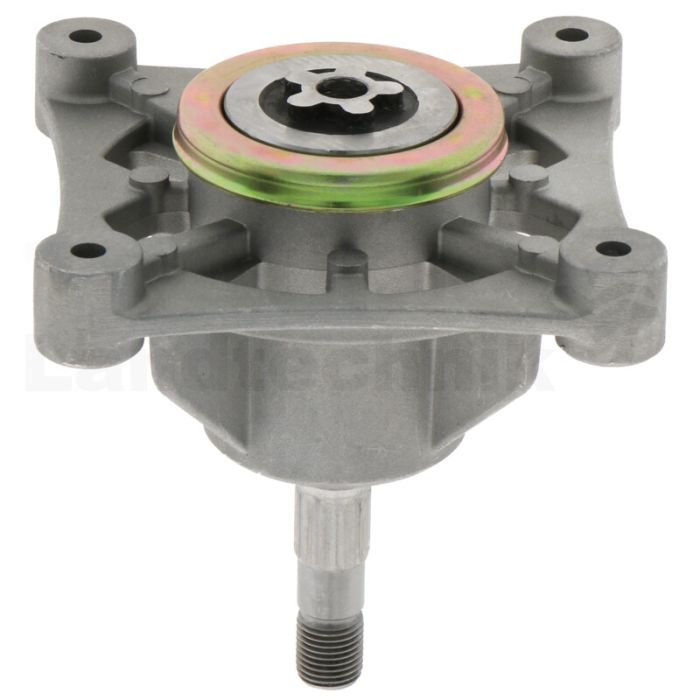 Messerspindel