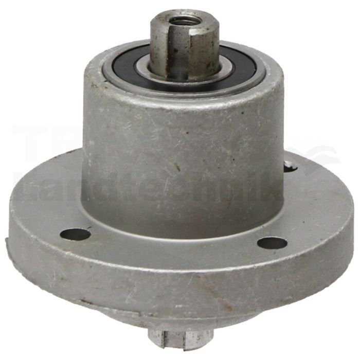 Messerspindel