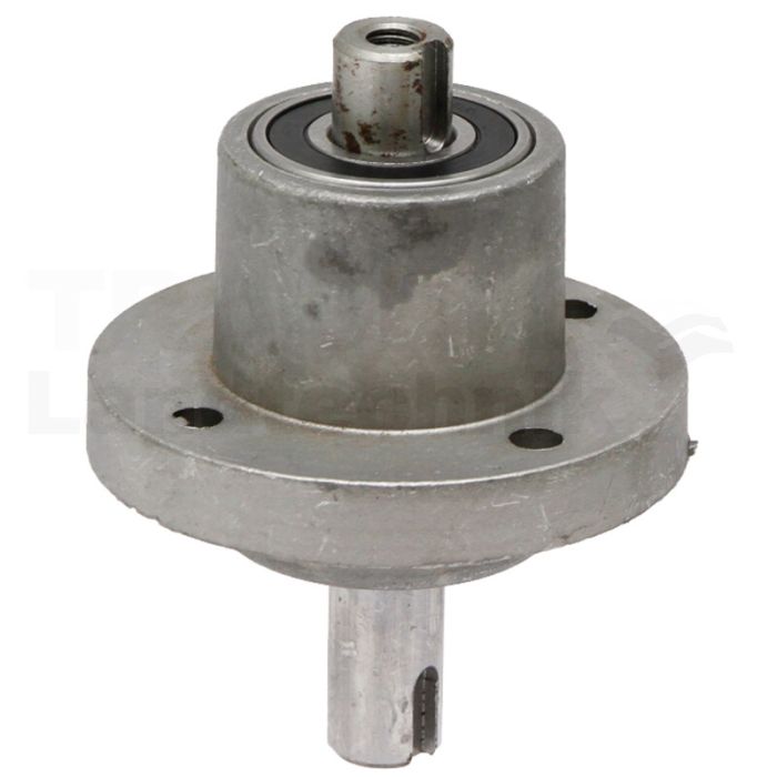 Messerspindel