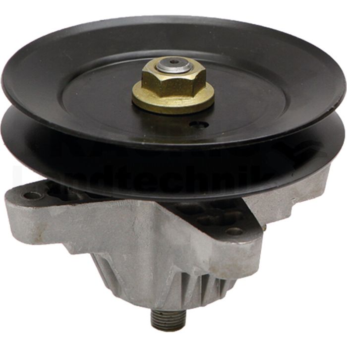 Messerspindel Messerspindel