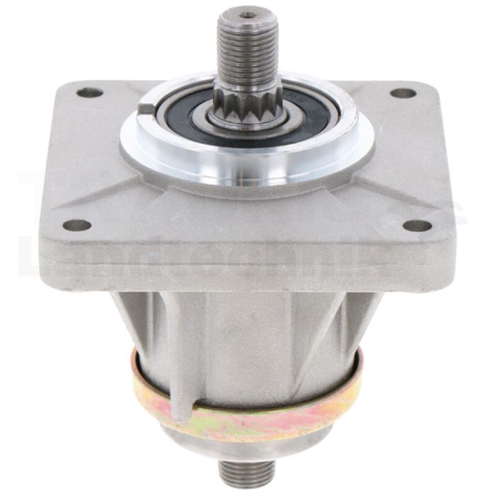 Messerspindel